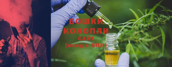 шишки Вяземский